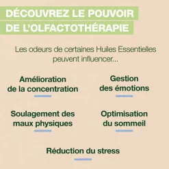 Brume d'oreiller Sleep - Bio