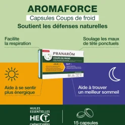 Capsules Coups de froid jour / nuit
