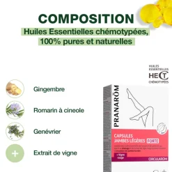 Capsules FORTE - Jambes légères