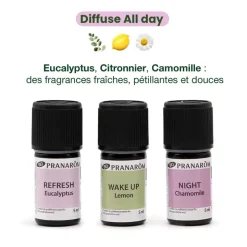 Coffret Diffuse All Day - Bio