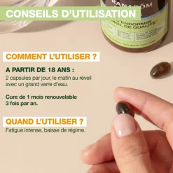 Complément alimentaire Energy