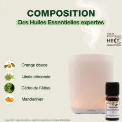 Diffuseur Astria + diffusable Zen