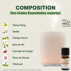 Diffuseur Astria + synergie Bien chez soi