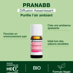 Diffusion Assainissant pour bébé - Bio