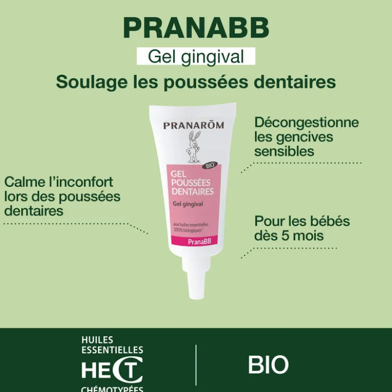 Gel gingival pour poussées dentaires - Bio