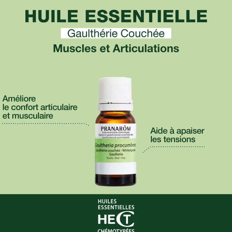 Huile Essentielle de Gaulthérie couchée