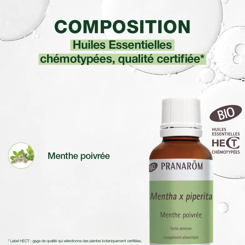 Huile Essentielle de Menthe poivrée - grand format - Bio