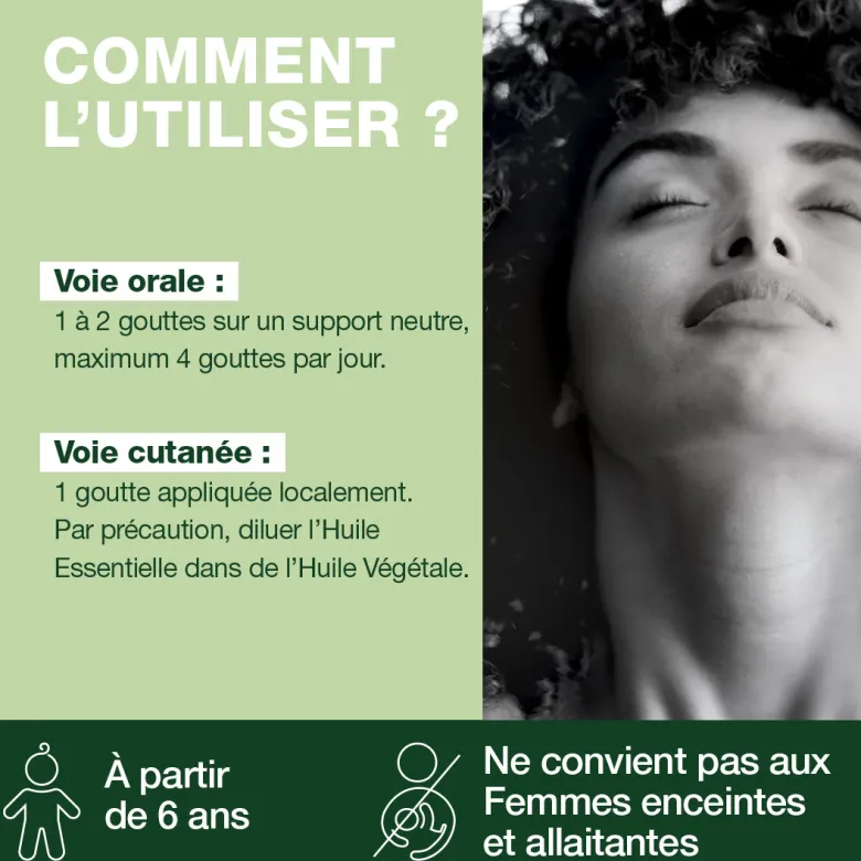 Huile Essentielle de Menthe poivrée - grand format - Bio