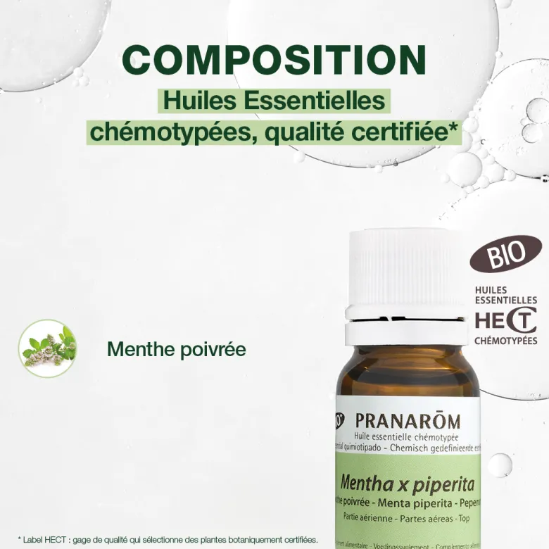 Huile Essentielle de Menthe poivrée - Bio