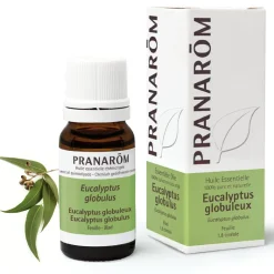 Huile Essentielle d'Eucalyptus globuleux