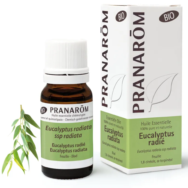 Huile Essentielle d'Eucalyptus radié - Bio