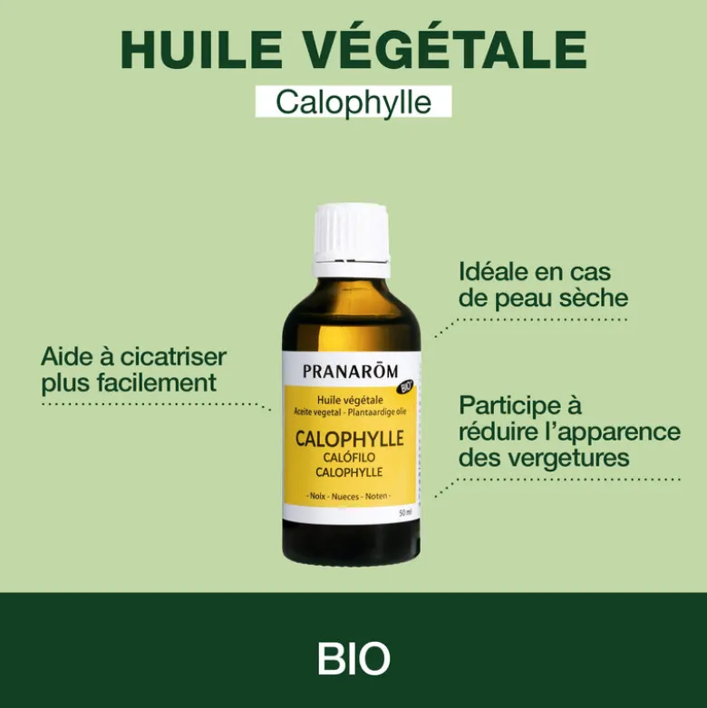 Huile Végétale de Calophylle - Bio