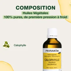 Huile Végétale de Calophylle - Bio