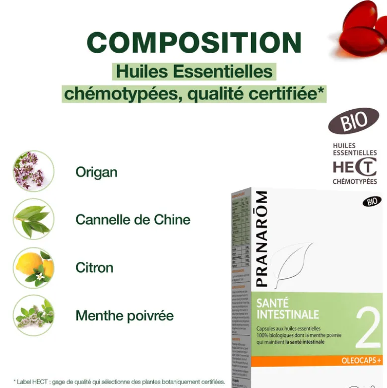 Oleocaps 2 - Santé intestinale - Bio