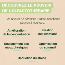 Roll-on Diet - Bio