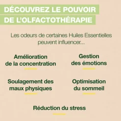 Roll-on Focus - Bio