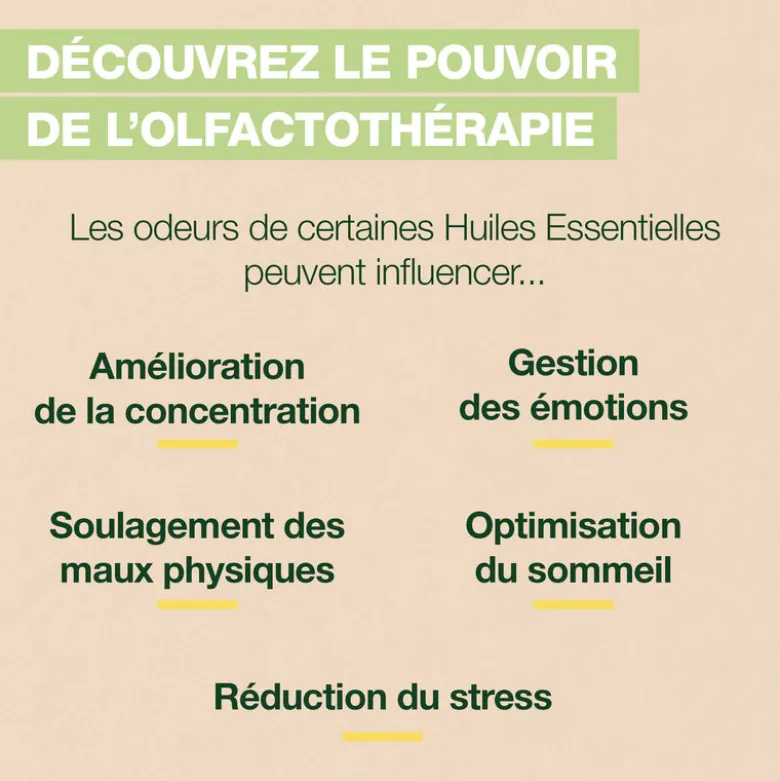 Roll-on Focus - Bio