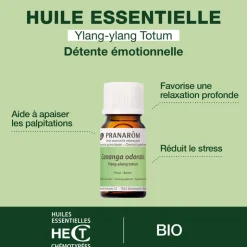 Soin lacté réparateur pour cheveux - trousse et flacon offerts