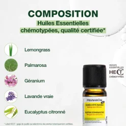 Soirée d’été paisible - synergie pour diffusion - Bio