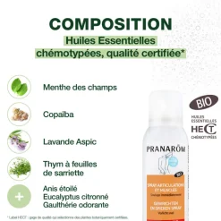 Spray articulations et muscles - Bio