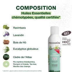 Spray assainissant Ravintsara - Tea-tree - Bio