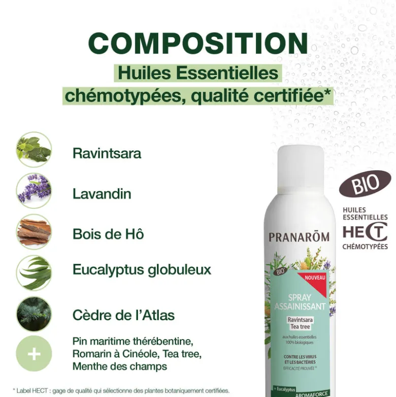 Spray assainissant Ravintsara - Tea-tree - Bio