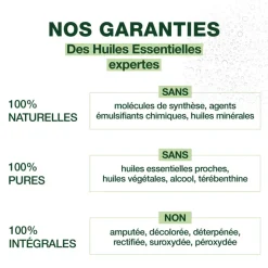 Spray assainissant Ravintsara - Tea-tree - Bio