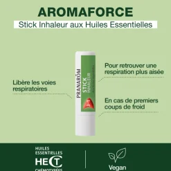 Stick inhaleur 3 en 1